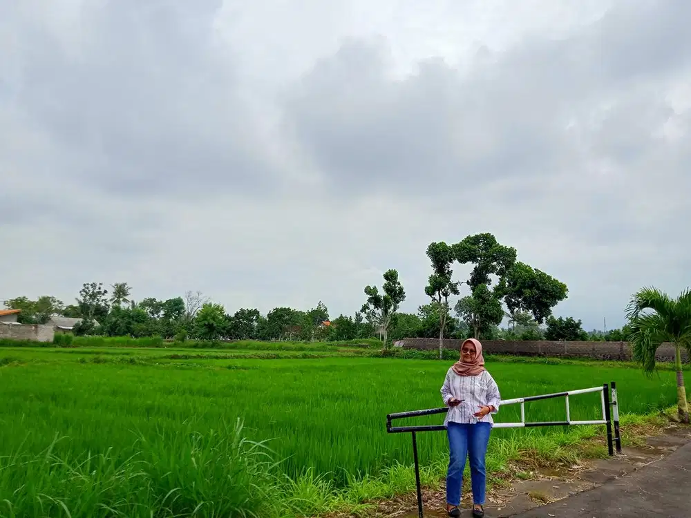 Tanah 1 Jutaan Sleman Di Kalasan Jogja Utara