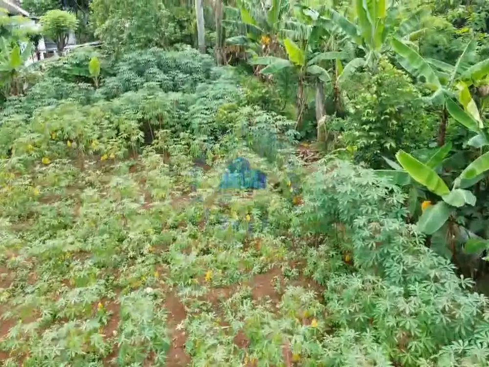 Jual Tanah di Cibogo, Cisauk, Tangerang - Banten