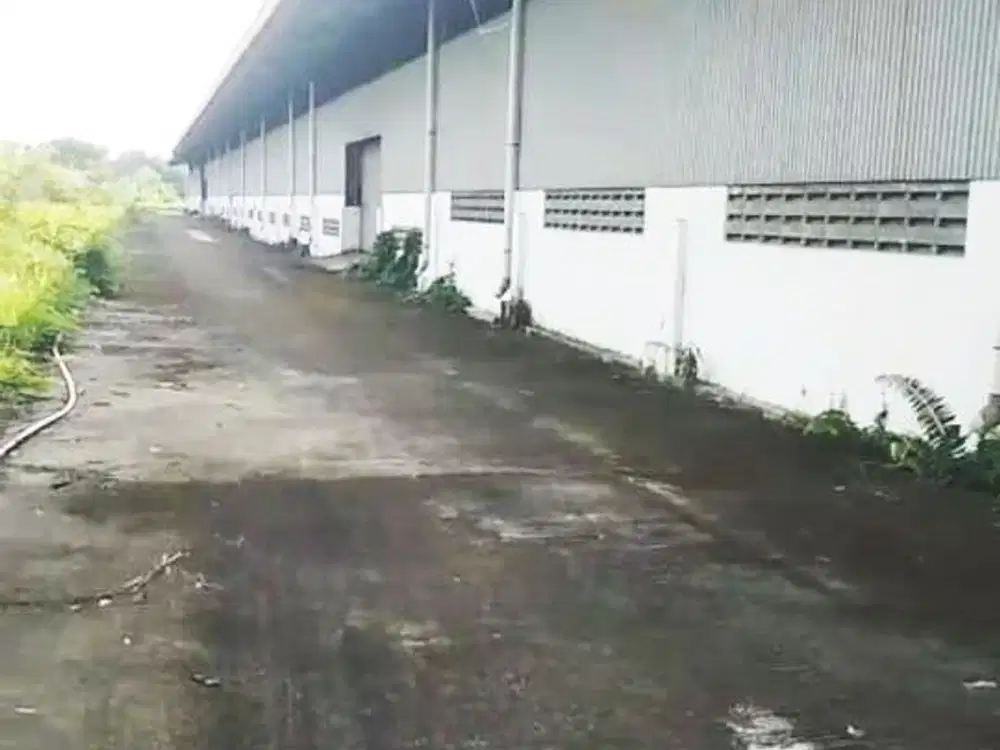 Pabrik 1,5 km dari kawasan Surya Cipta Karawang Timur