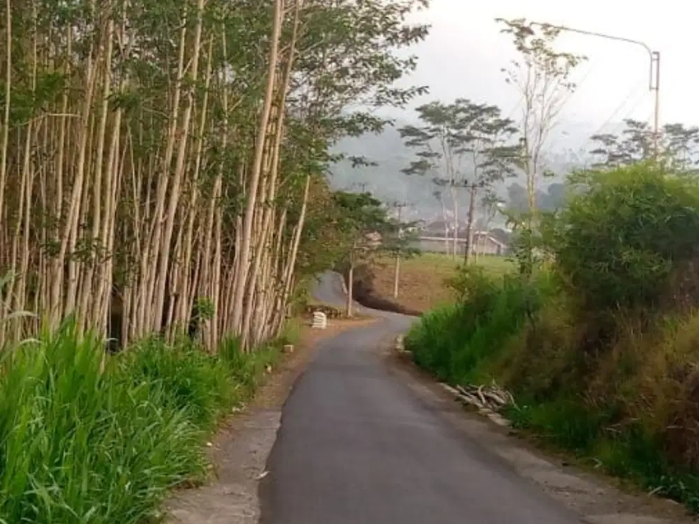 Tanah produktif view istimewa di jabung malang