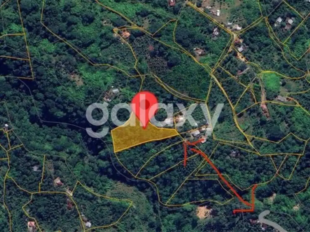 Dijual Tanah Murah dan Besar 52 Are di Buleleng Tigawasa