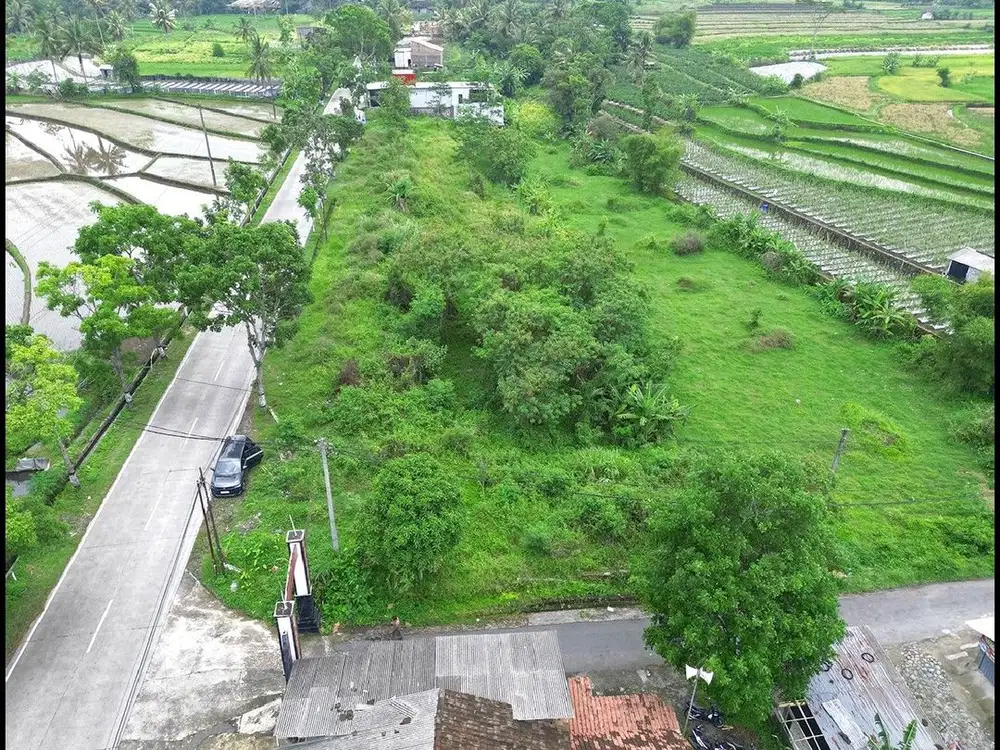 7 Menit Pintu Tol Palbapang Magelang, Sertipikat Hak Milik Mangku Jalan