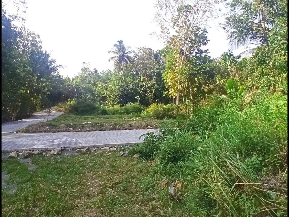 Jl. Gotakan, Jual Tanah Jogja SHM di Panjatan Cocok Untuk Villa