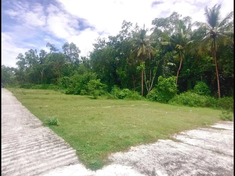 Jl. Nagung-Brosot Dijual Tanah Jogja SHM Dekat Polsek Panjatan