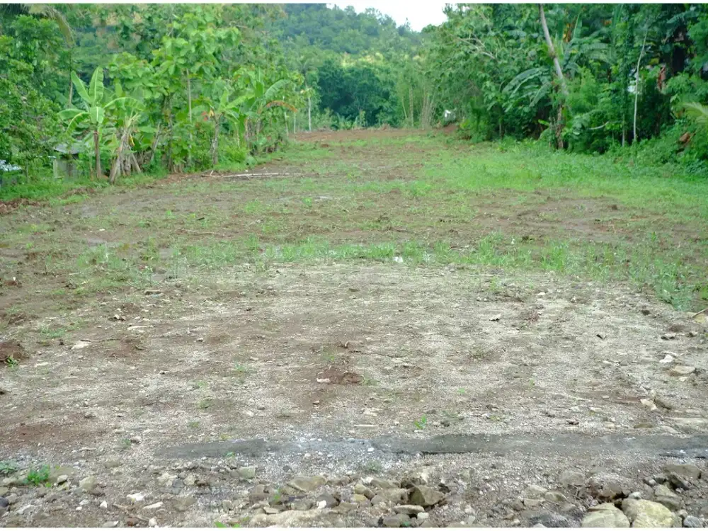 Imogiri Bantul – Kavling Murah SHM  Akses Strategis Dekat Wisata