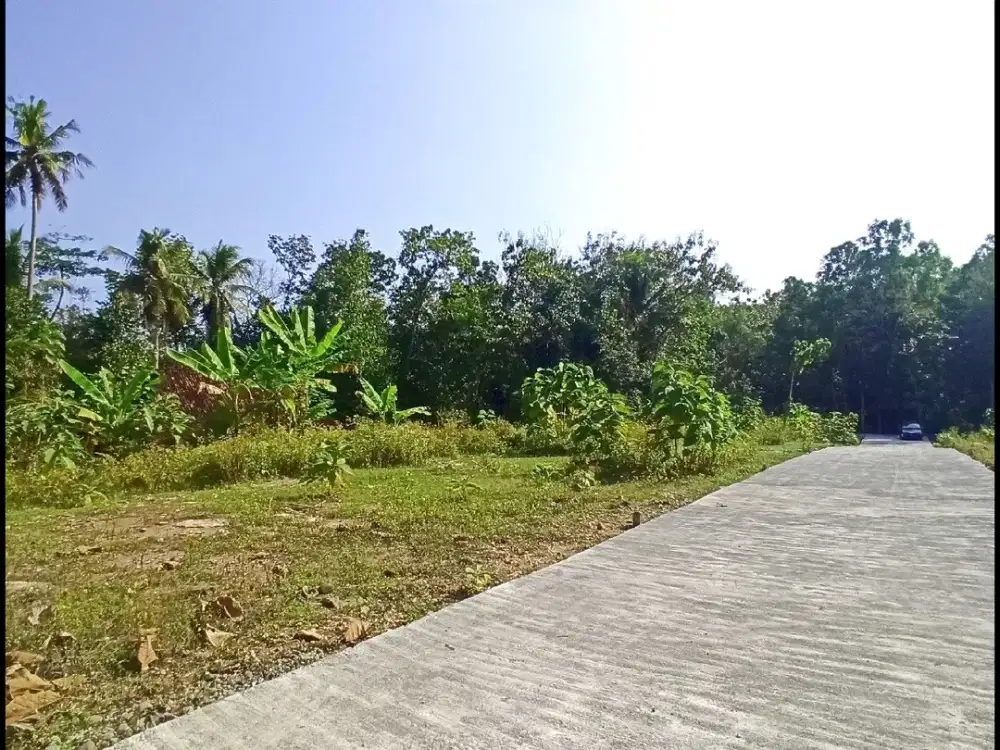 Dekat Bandara YIA, Tanah Jogja di Gotakan Panjatan