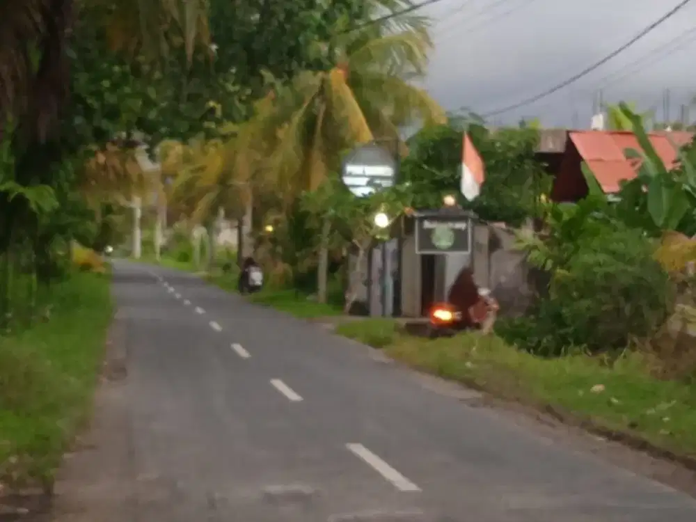 Tanah Strategis Dijual di Jln Utama Pantai Medewi Jembrana