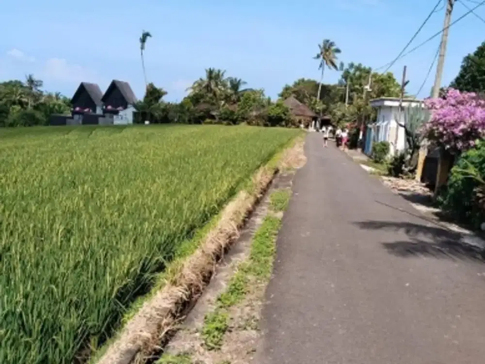 Tanah Murah 72 Are Tabanan, Bali