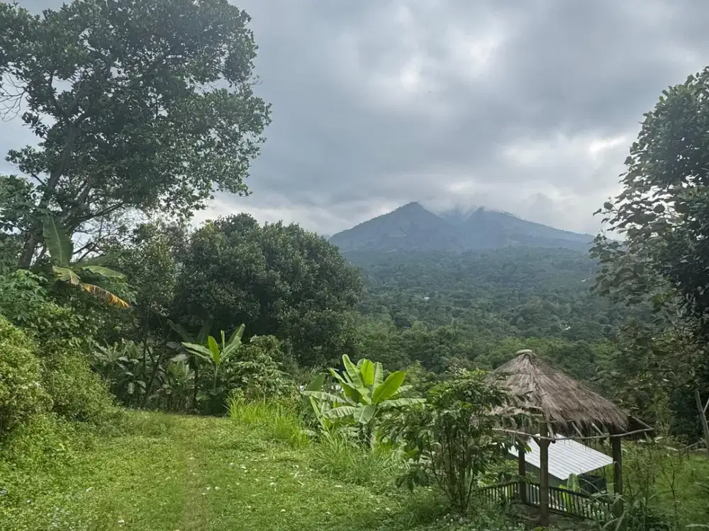 Tanah Hidden Gem view Gunung di Dayurejo, Gamoh, Prigen, Pasuruan