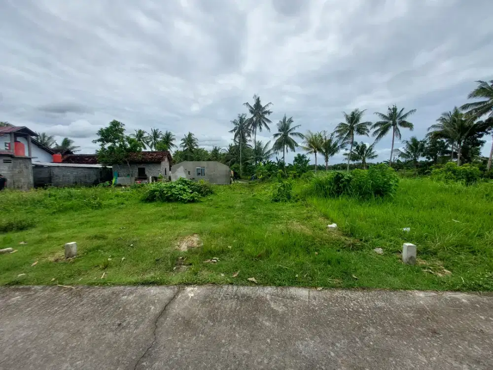 TANAH MURAH DI PENGASIH KULONPROGO DIJUAL MURAH