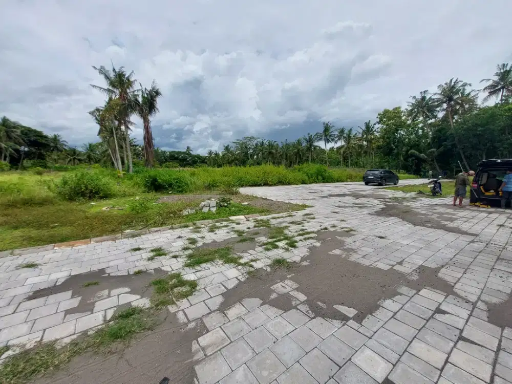 TANAH MURAH KULONPROGO 130 JT DEKAT KAMPUS UAD WATES