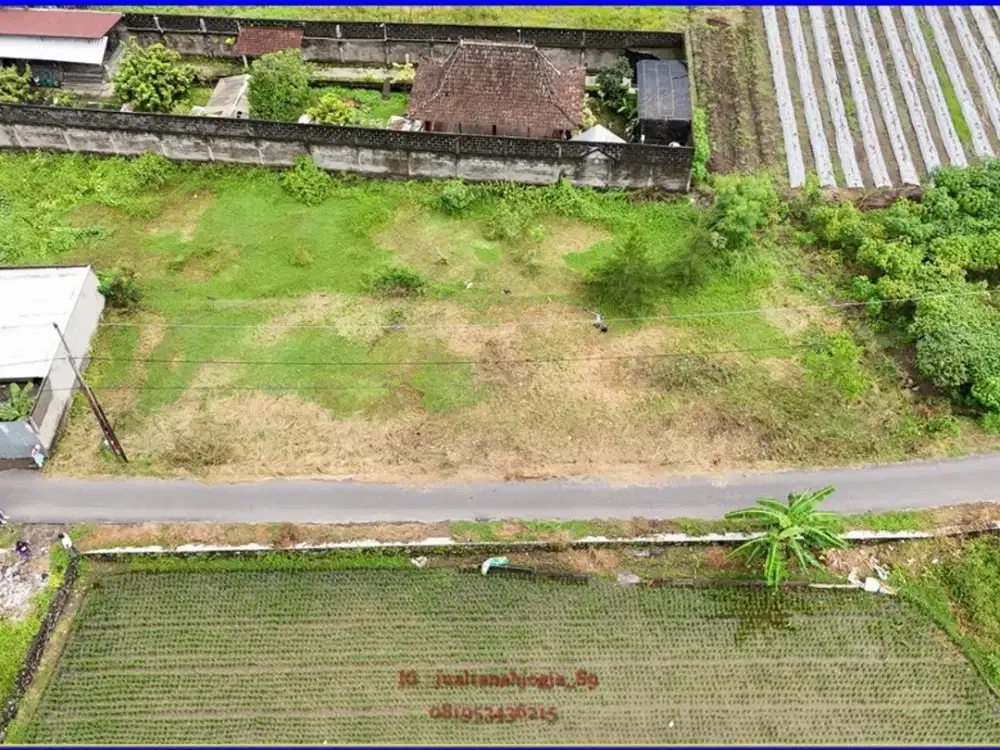 Dekat Pasar jambon Trihanggo tanah dijual tepi aspal nogotirto