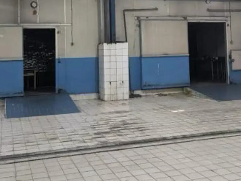 Cold Storage 2 Jejer, Margomulyo