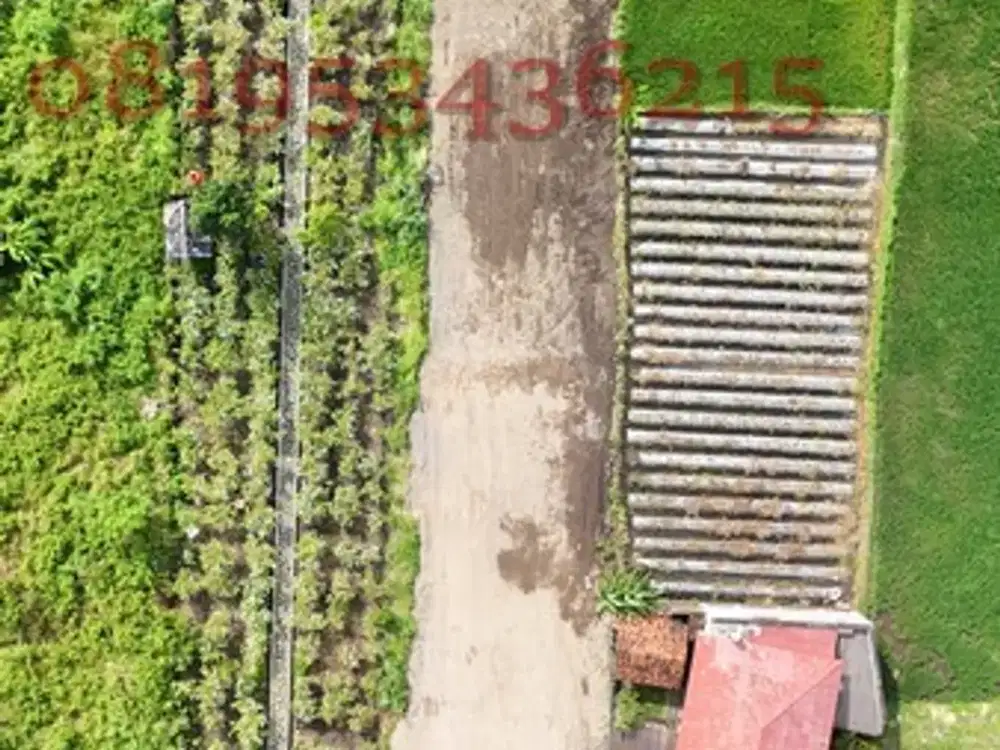 Villa Kaliurang 12 menit ke tugu yogyakarta cocok Investasi