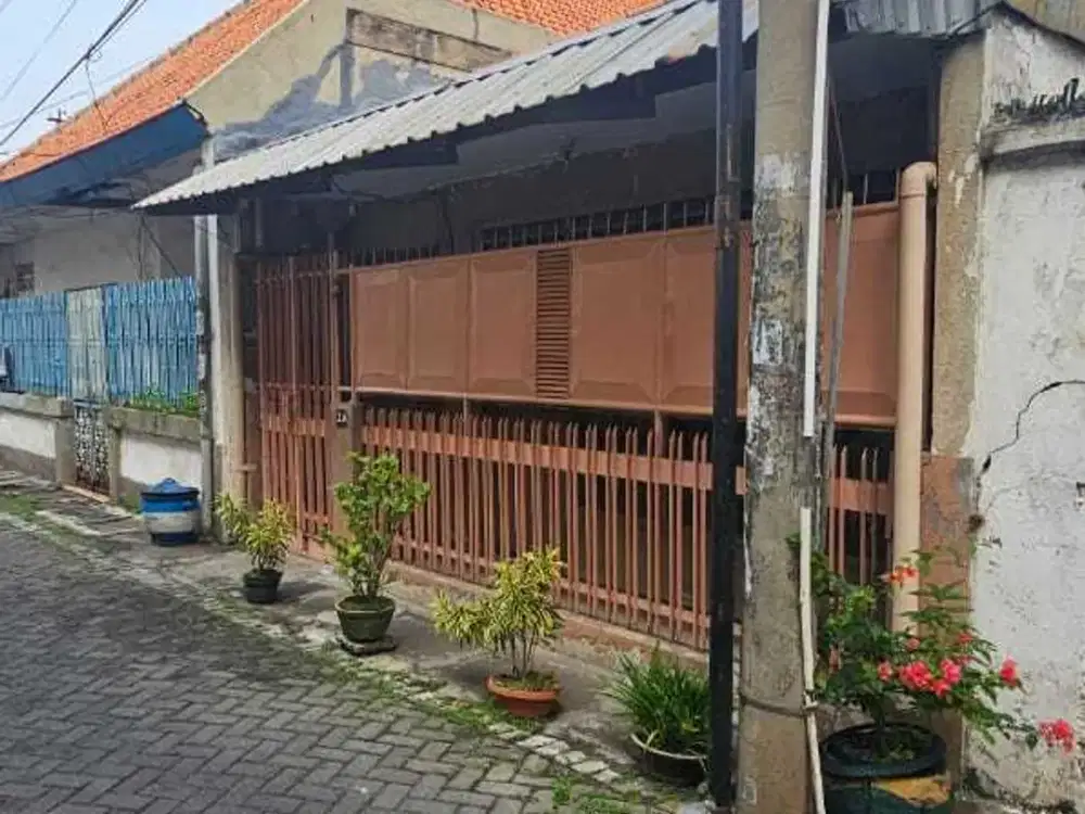 Rumah Kelurahan Kapasari Kec Genteng Kota Surabaya