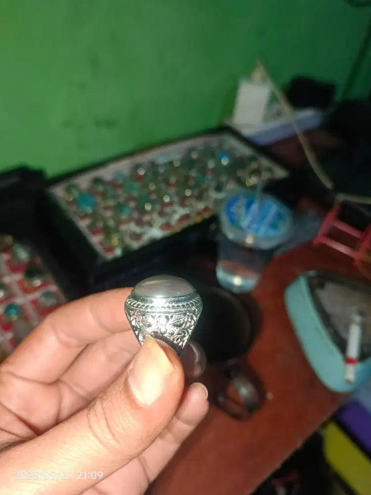 Batu wulung (fokayfosil kayu) kelor tembus senter