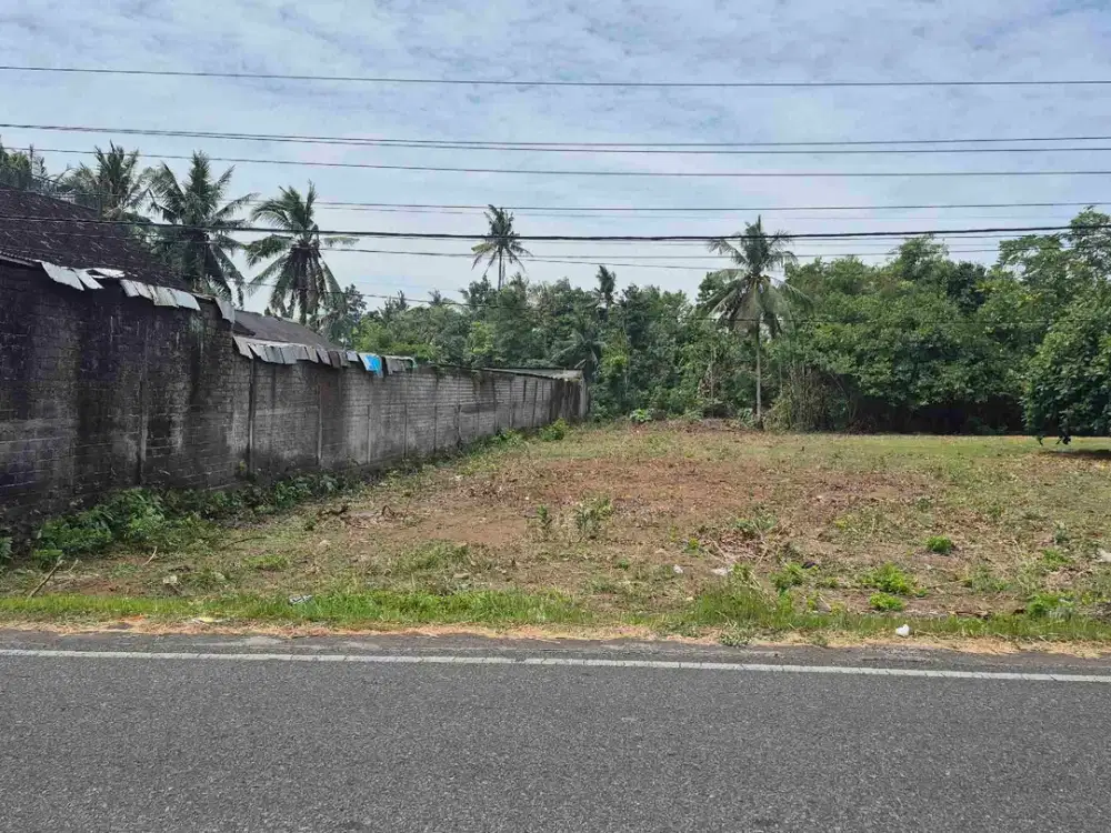 Tanah 13 are pinggir jalan raya negara pengambengan , Jembrana