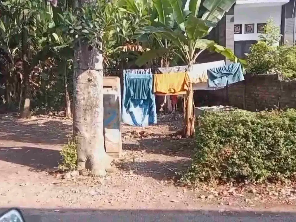 TANAH 5 ARE PINGGIR JALAN ASPAL DI BANYUBIRU jembrana DEKAT JALAN PROVINSI