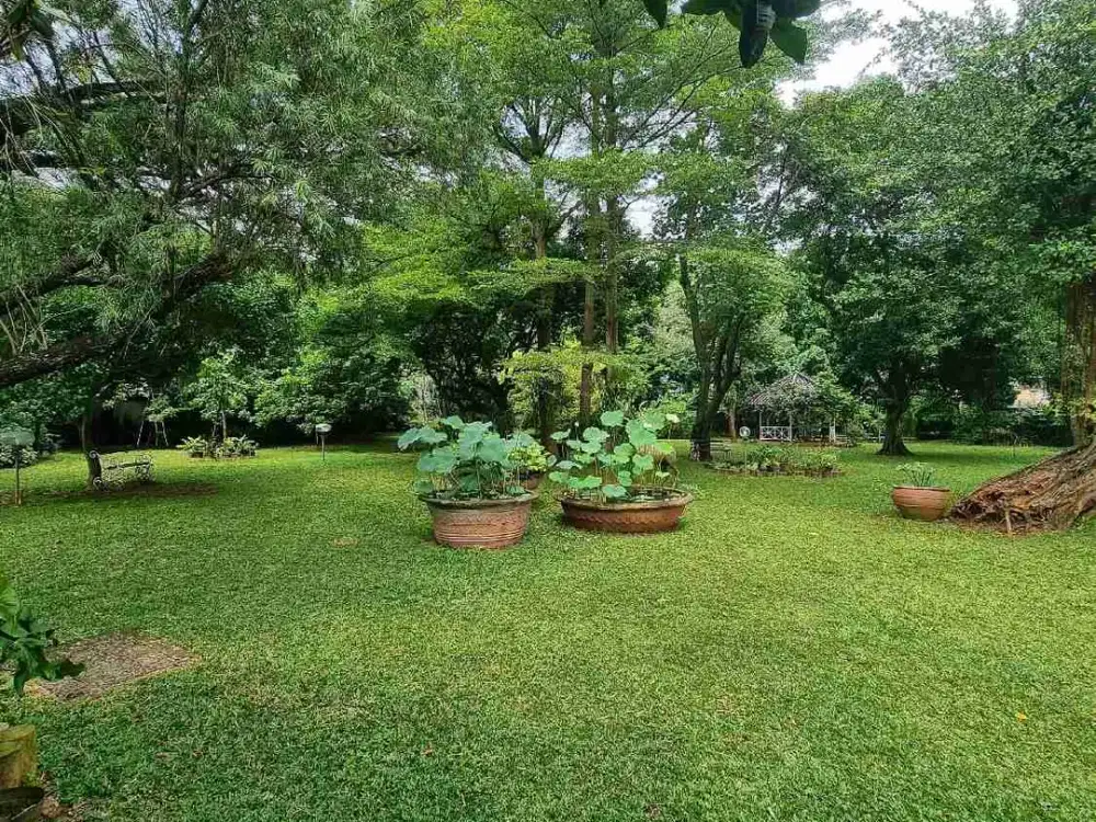 GARDEN HOUSE FOR SALE CILANDAK  Lokasi: Cilandak, Jakarta Selatan  Spesifikasi:  • LT 5500 m2 •⁠ ⁠LB 1200 m2 •⁠ ⁠1 Lantai • Ruang Tamu • Ruang Keluarg