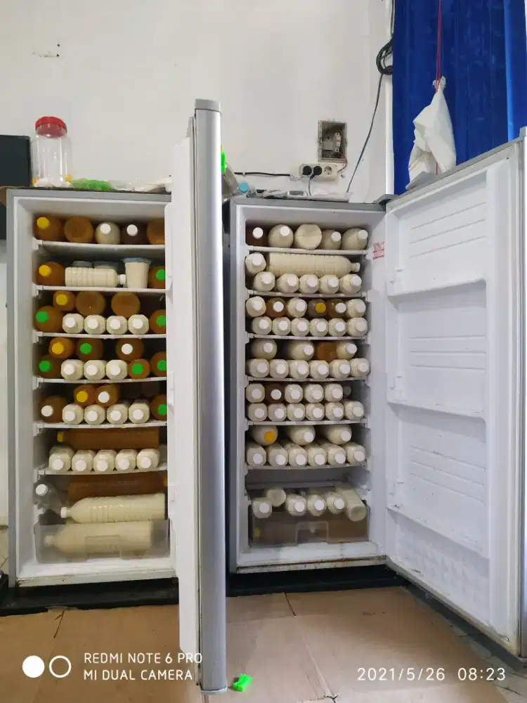 minuman dingin menyehatkan