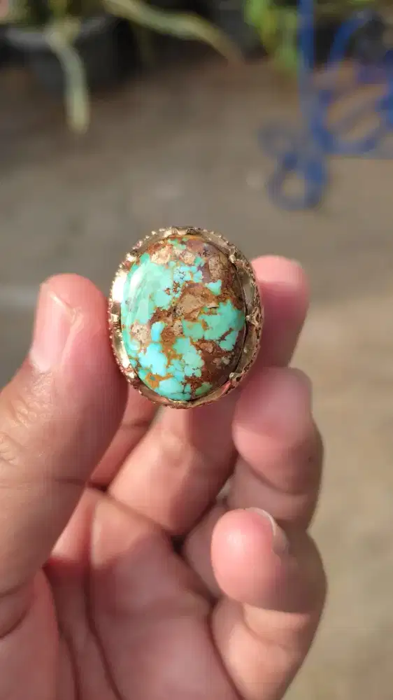Pirus Persia Tosca
