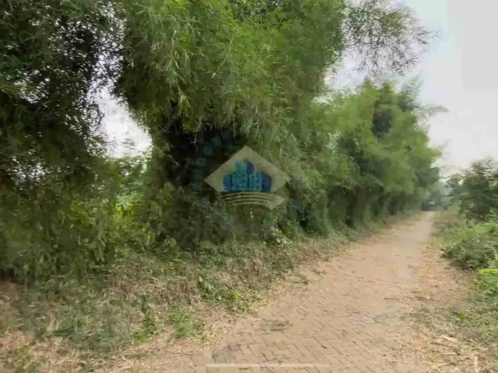 Dijual Tanah Di Dangdang, Cisauk, Tangerang