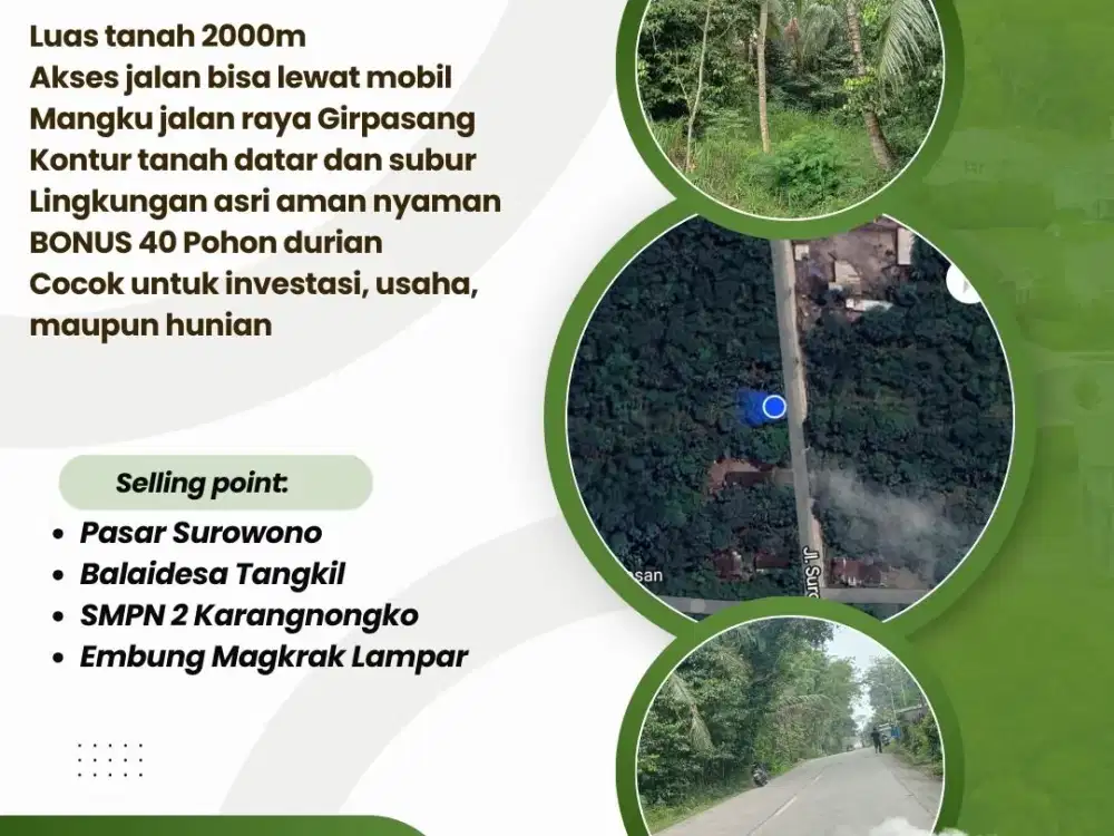 TANAH TEGALAN MURAH MANGKU JALAN RAYA GIRPASANG COCOK UNTUK INVESTASI