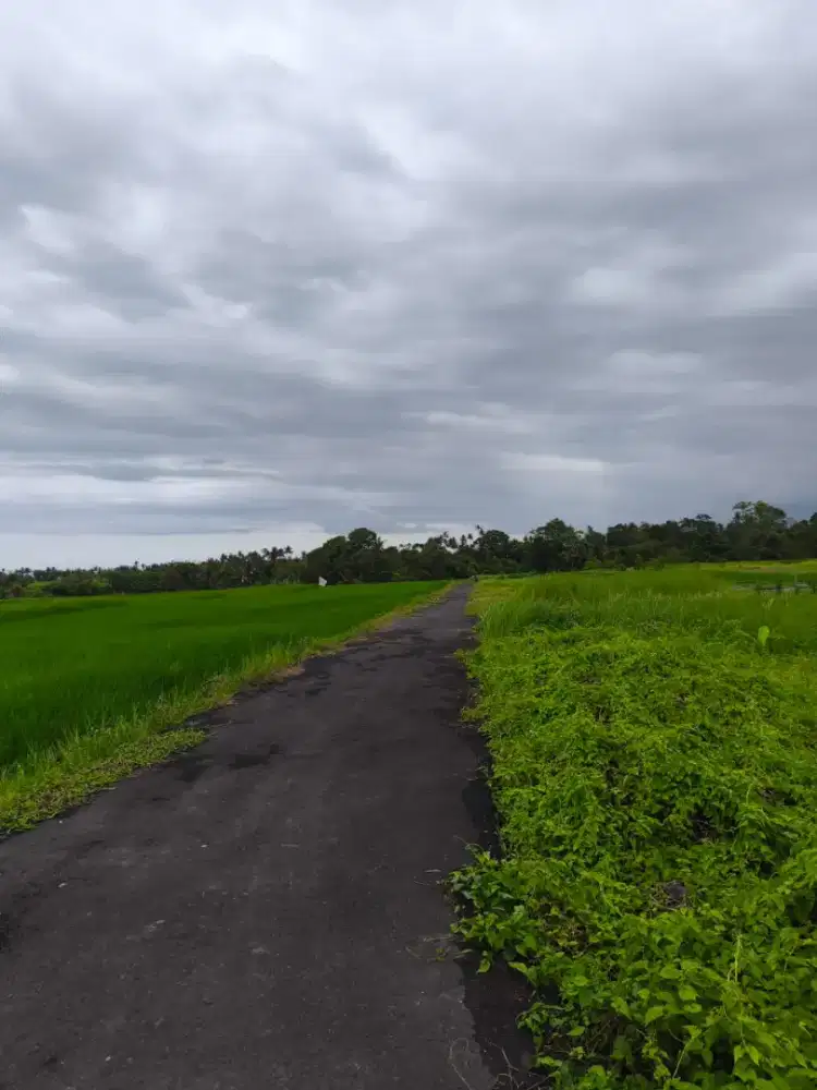 Jual tanah kosong di Jl Pantai Kedungu Bali cuma 1,5 km dari pantai
