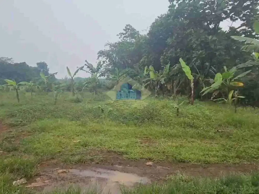 Dijual Tanah Di Mekarwangi, Cisauk, Tangerang