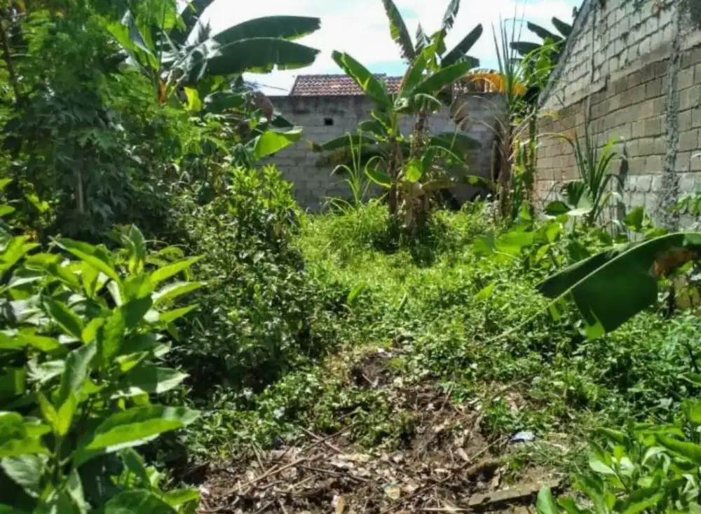 Tanah Parung Panjang Perumahan Sentraland Luas 84m2 SHM