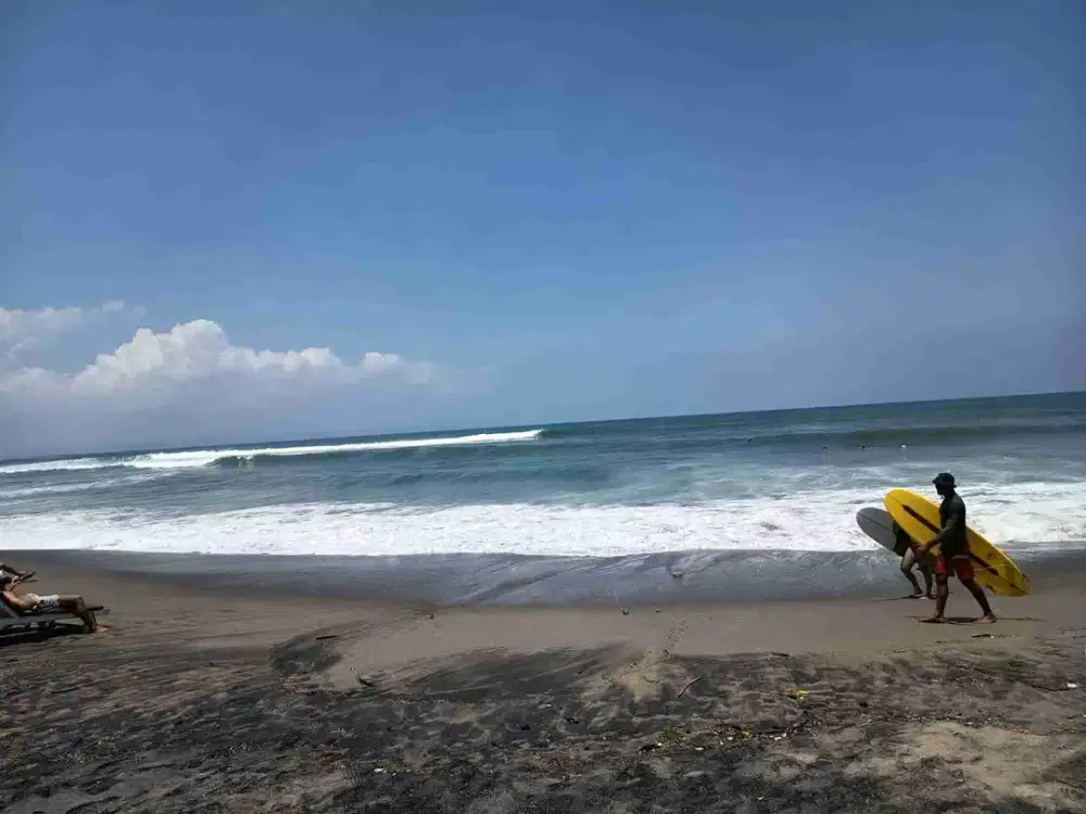 DIJUAL TANAH MURAH LOS PANTAI BATU BOLONG  CANGGU BALI - Thumbnail 3