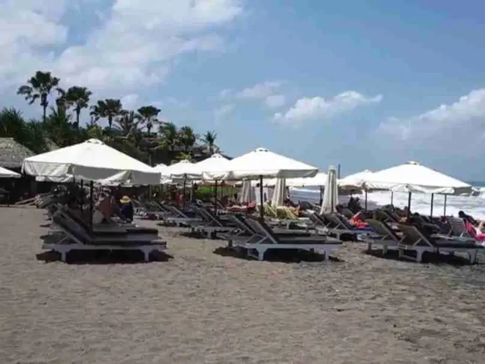 DIJUAL TANAH MURAH LOS PANTAI BATU BOLONG  CANGGU BALI - Thumbnail 7