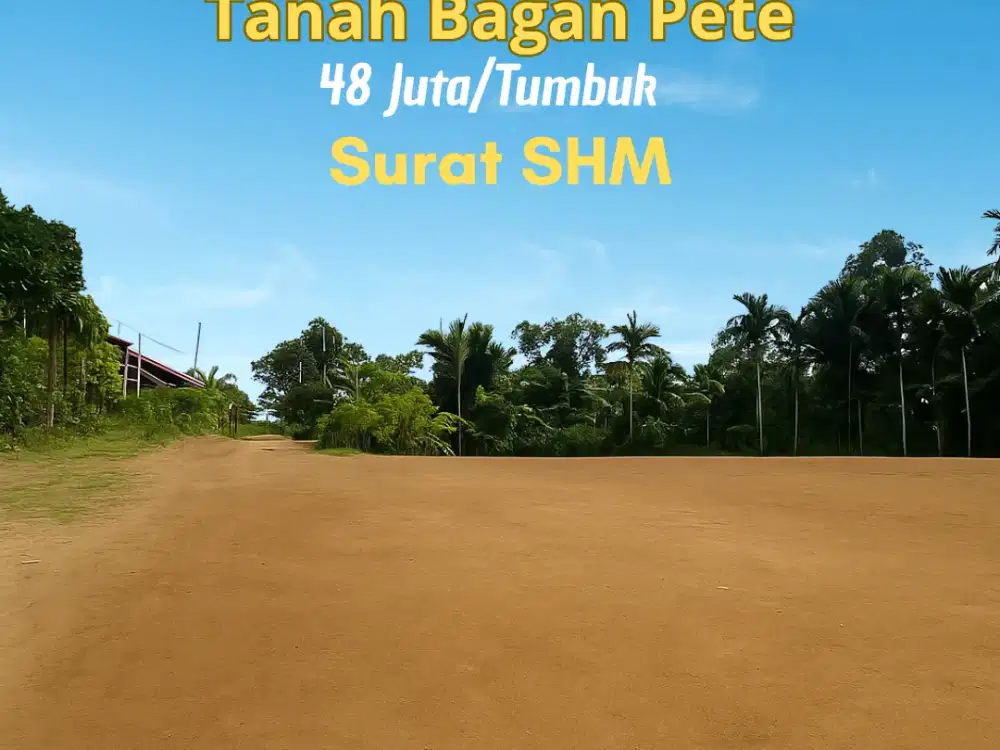 Dijual cepat Tanah Kavling dekat SMAN 11 Kota Jambi