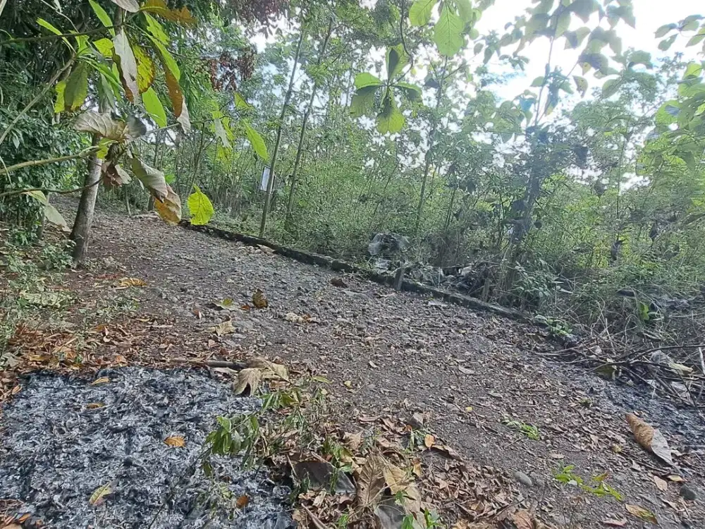 Tanah Balecatur Gamping Cocok Bangun Rumah atau Homestay