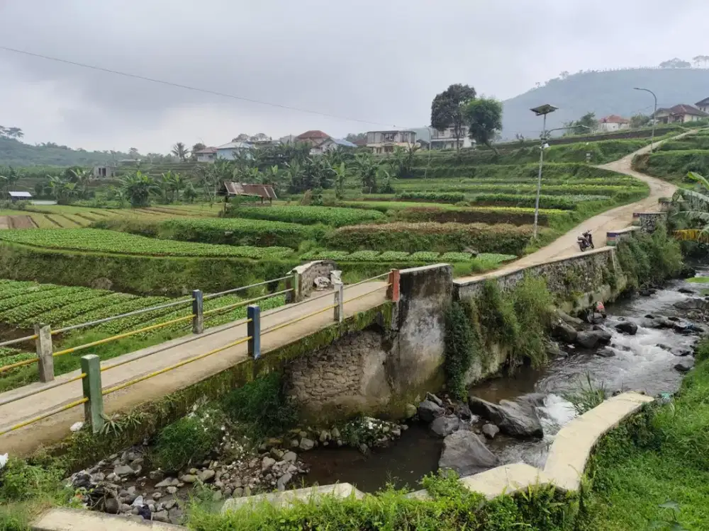 Dijual Tanah Luas 19808 Cipanas Cianjur Sukabumi - Jawa Barat