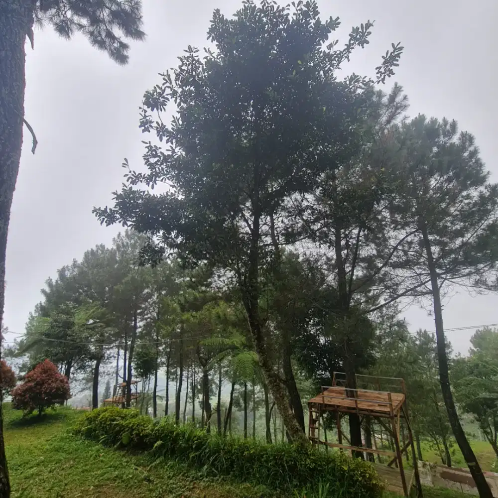 Dibutuhkan ART serabutan menginap khusus wanita