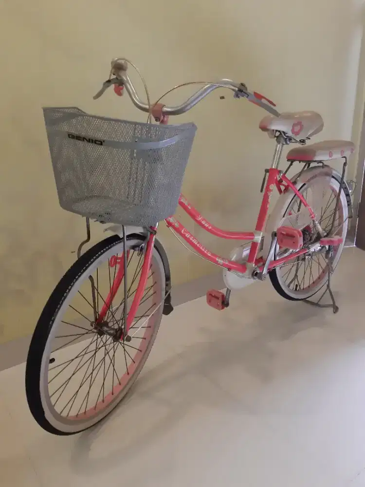 Sepeda dewasa utk santai