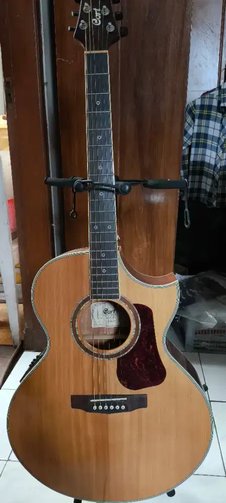 Gitar Cort ndx20