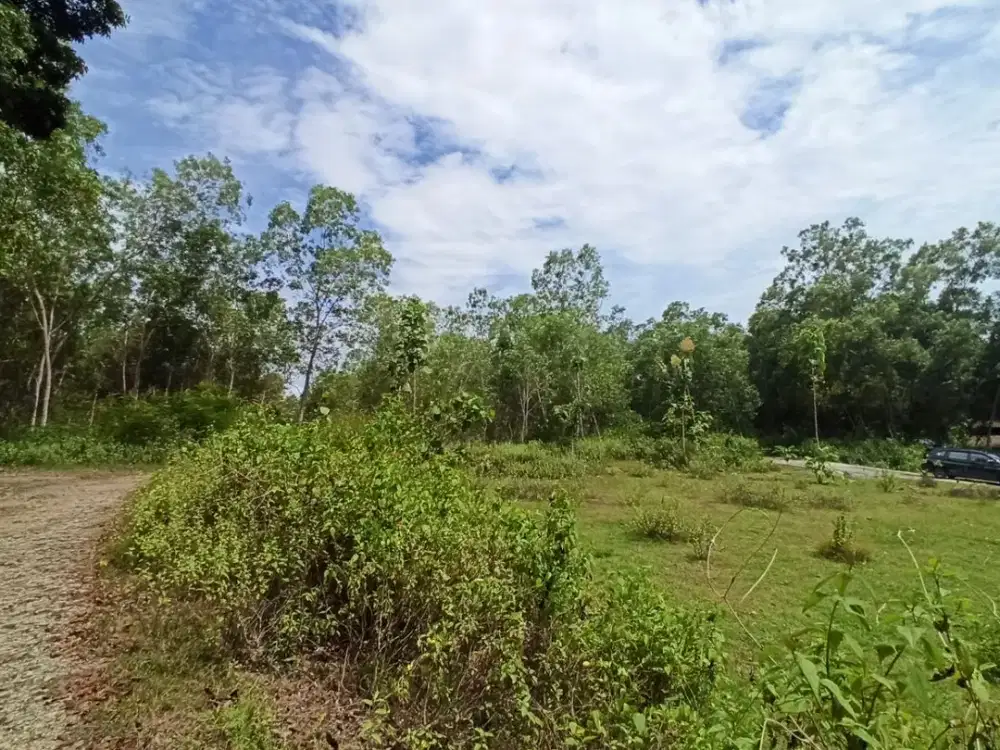 Giri Peni View; Sudah SHM Pekarangan