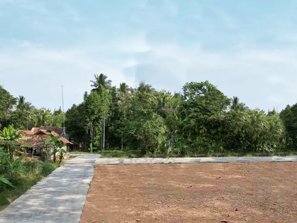 Taman Bunga Kulon Progo-SHM Pekarangan