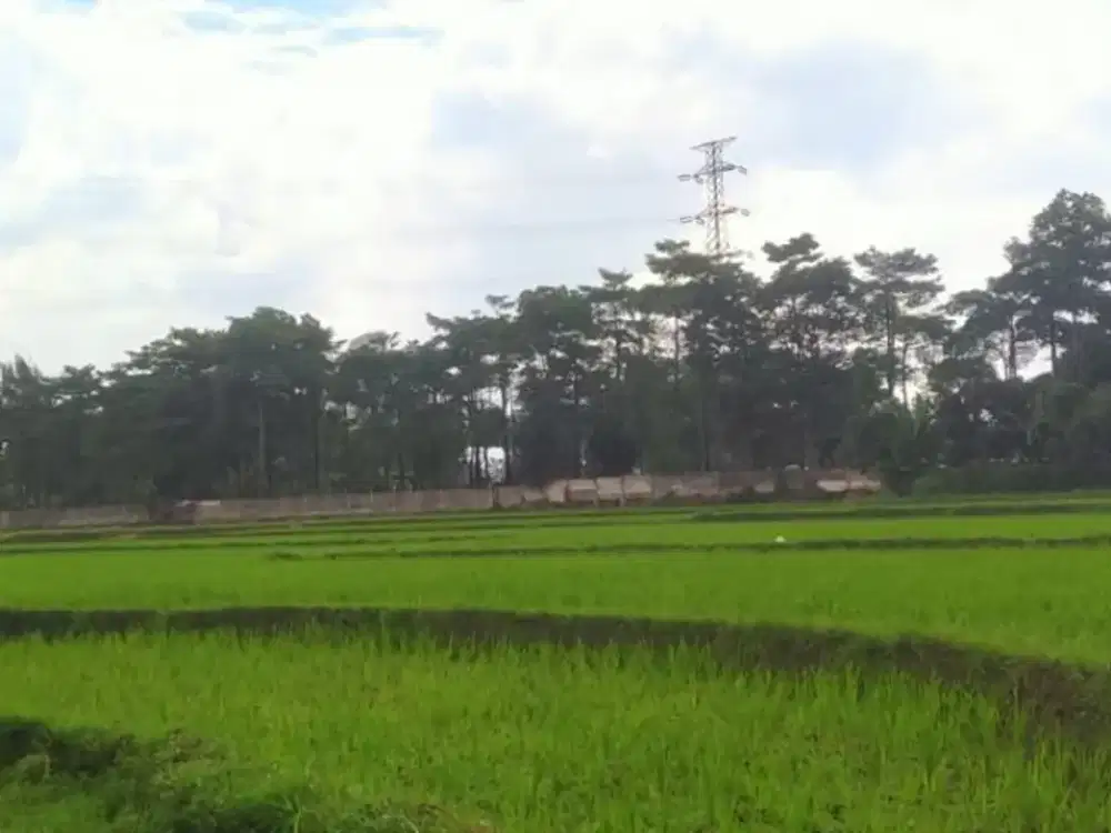 Dijual Tanah Luas Cocok Untuk Perumahan Area Buah Batu