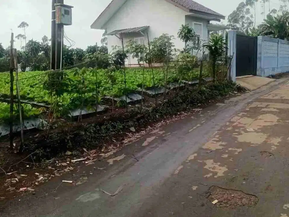 Tanah 25 tumbak Pangalengan siap bangun