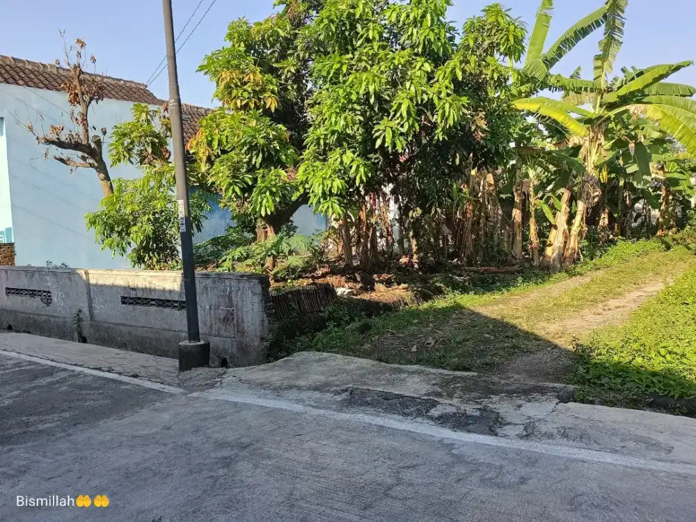 tanah pekarangan palur