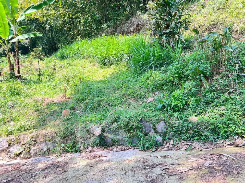 Tanah 65 Juta Kawasan Wisata Ngargoyoso Karanganyar