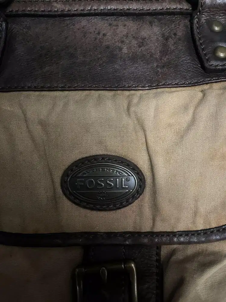 tas fossil cwok
