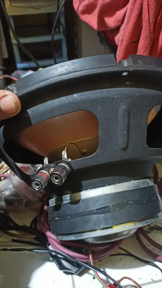 Speaker 10 in Titanium Subwoofer series dobel magned
