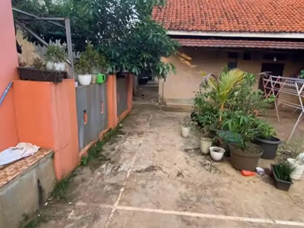 Jual Tanah Kebun Subur Cocok Untuk Rumah & Berkebun Ciwangi Purwakarta Lt 1.650 m2