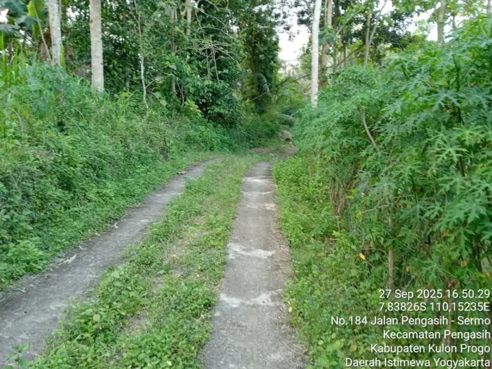 Tanah murah di Pengasih Kulonprogo