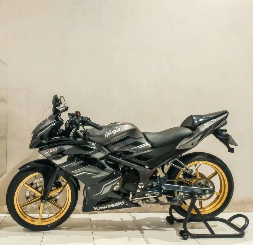 Kawasaki Ninja RR 2015