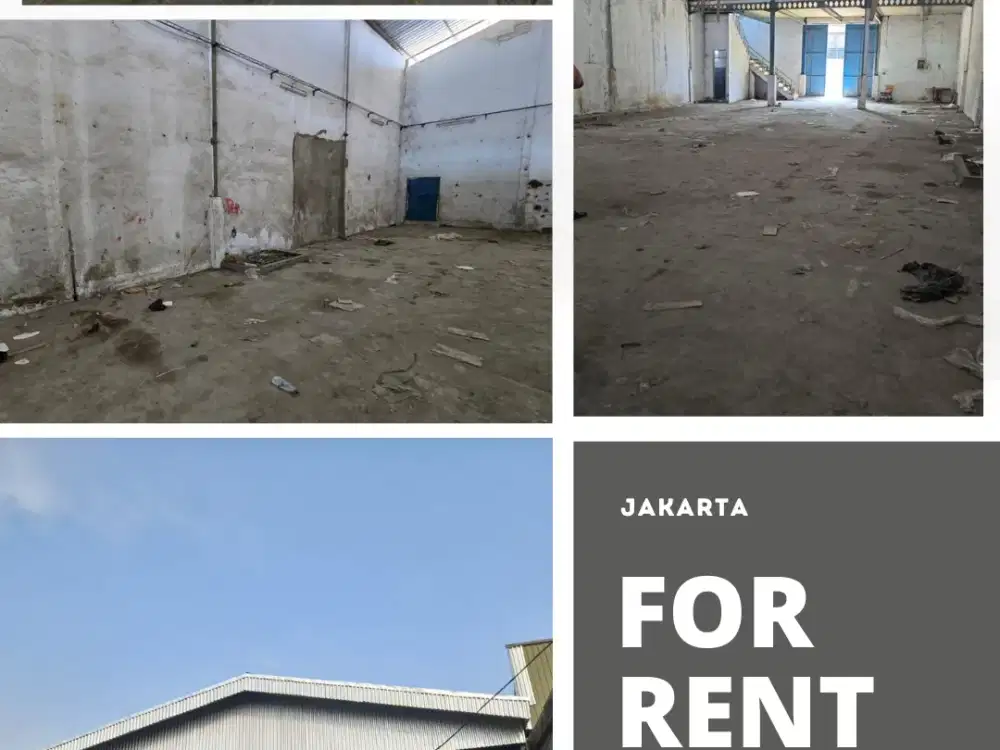 Disewa Gudang Miami Tegal Alur kapuk Kamal Jakarta